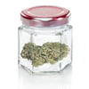 Haze Wreck