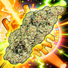 Image 1 for Disco Fries, a hybrid product