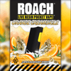 Orange Creamsicle [360mg] ROACH Live Resin Disposable Jane