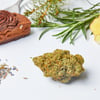 Mercy