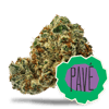 Image 2 for Pavé, a hybrid product