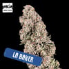 Image 2 for LA Baker, a indica product