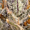 Image 5 for BluZangria Pre-Roll [1g], a sativa product