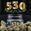Jealousy x Kush Mints 530 Grower Jane