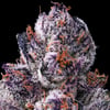 Image 8 for Chrome Dome Goldies Infused Pre-Rolls 5-Pack [3g], a sativa product