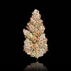 Image 2 for BluZangria Pre-Roll [1g], a sativa product