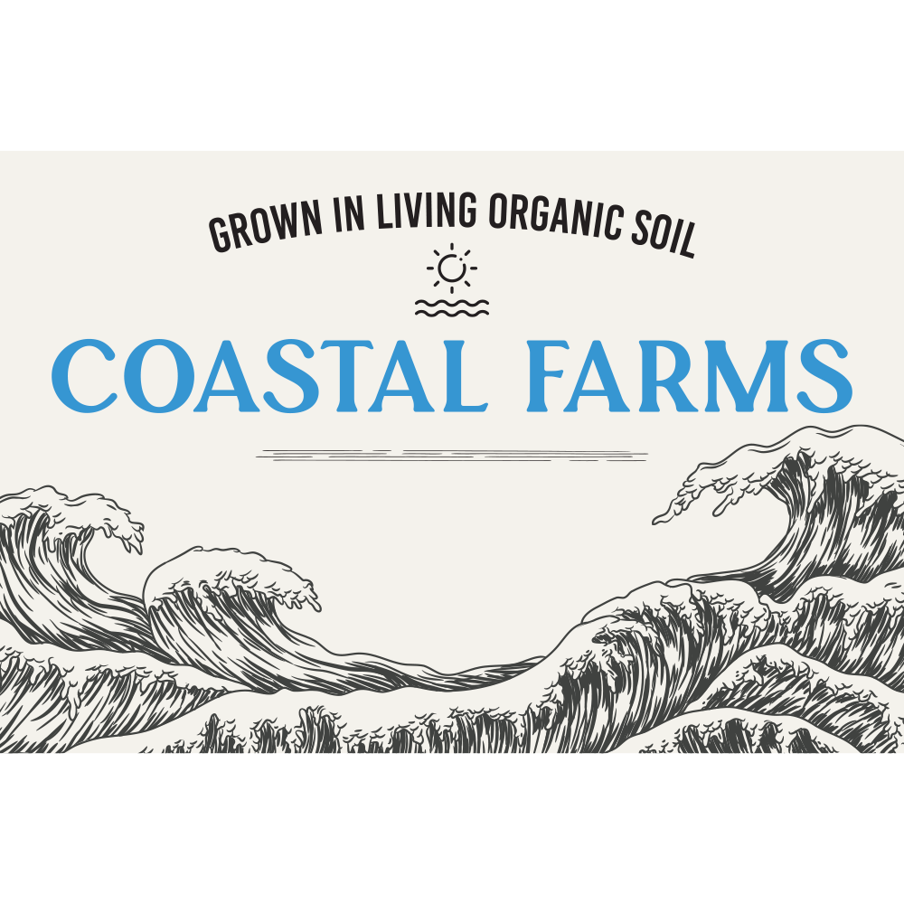 Lemon Chill [20pk] (100mg) by Coastal Farms