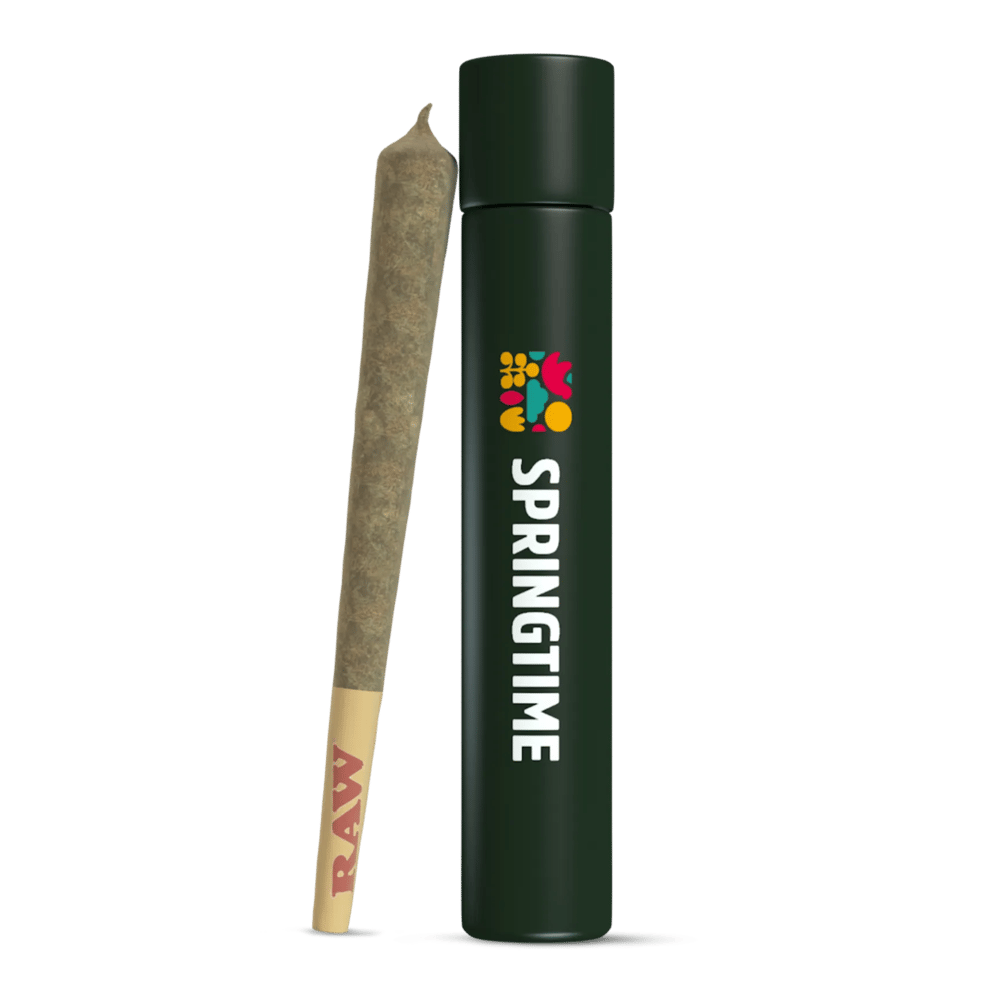 64 Runtz [1g] by Springtime