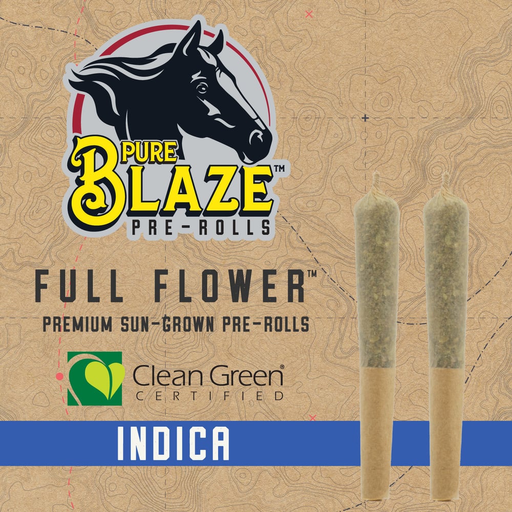 Happy Camper 2 Pk 0.5g [1g total] by Pure Blaze