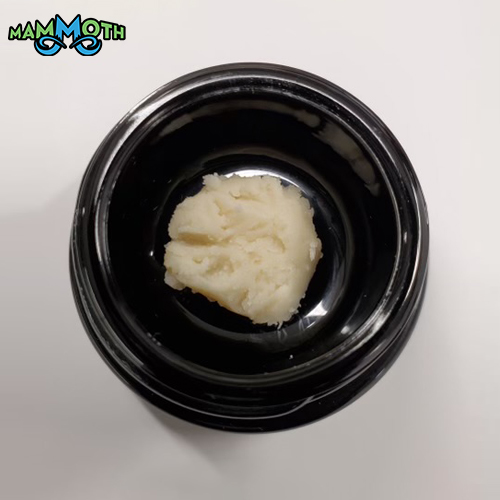 Animal Gas x Chem De La Wilson by Mammoth