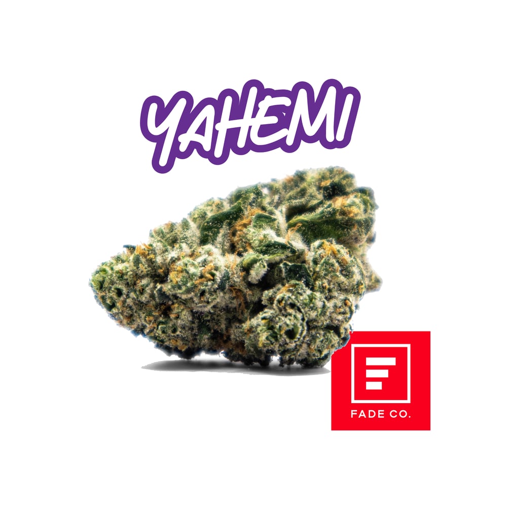 Yahemi A by Fade Co.