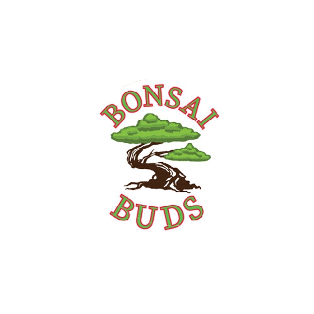 Apple Fritter by Bonsai Buds