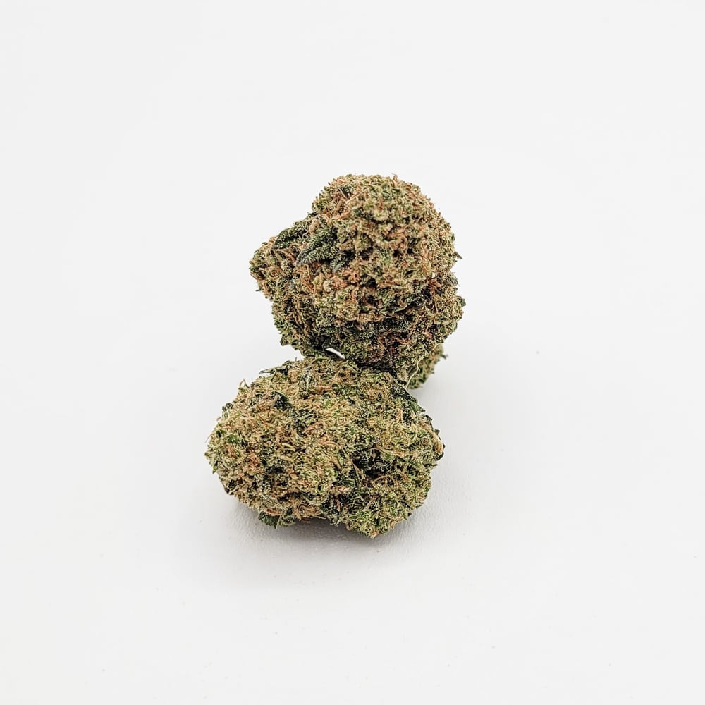 Back to Banana (Mixed Pheno) by Sacred Sun Farms