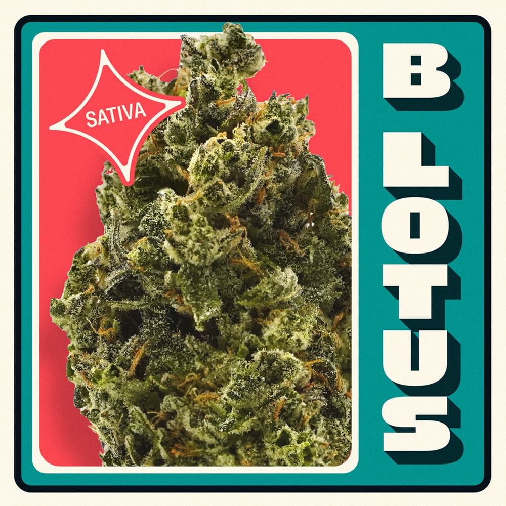 B Lotus [14.15g] by Neighborgoods