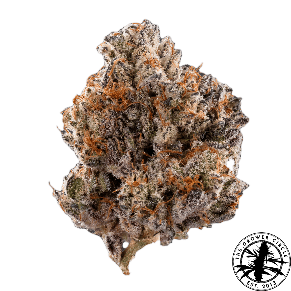 Cream Cookie Cake by The Grower Circle