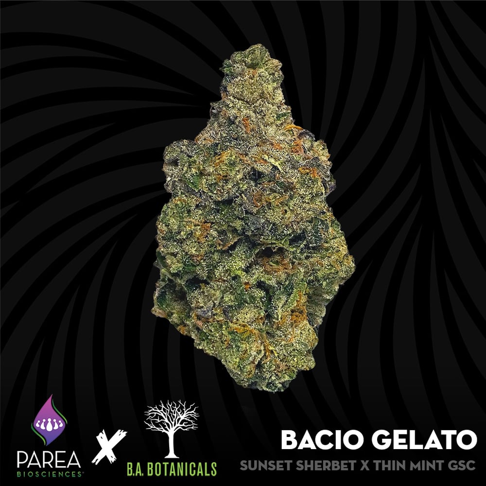 Bacio Gelato by Parea