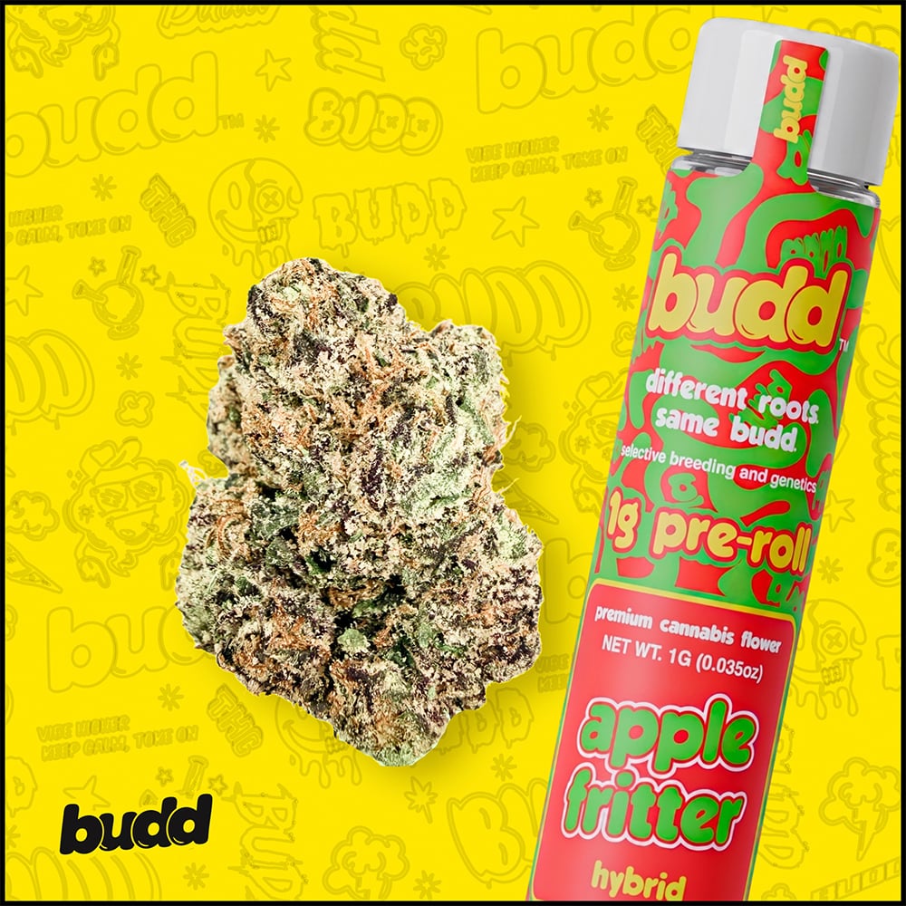 Apple Fritter [1g] by budd