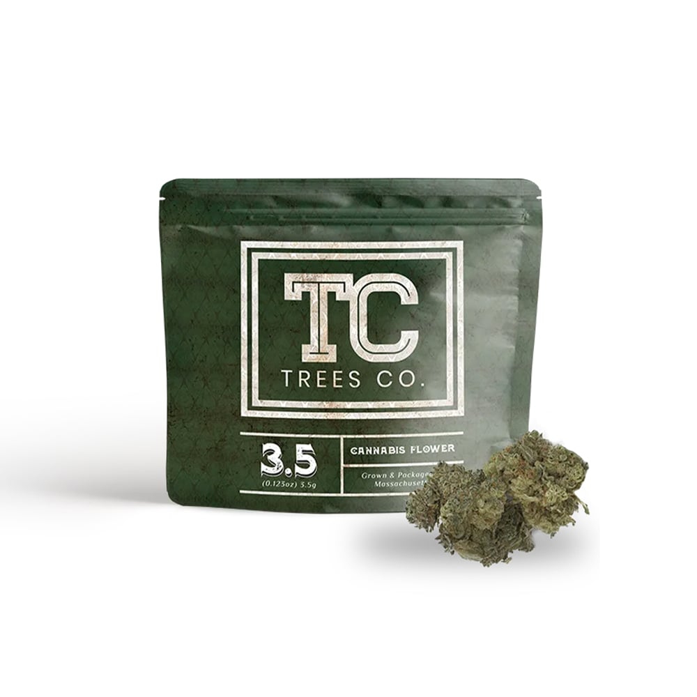 Eager Beaver by Trees Co. - MA