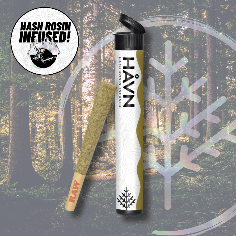 Cheese x Garlic Cheesecake  - 1G Hash Rosin Infused Pre-Roll by HÅVN Extracts