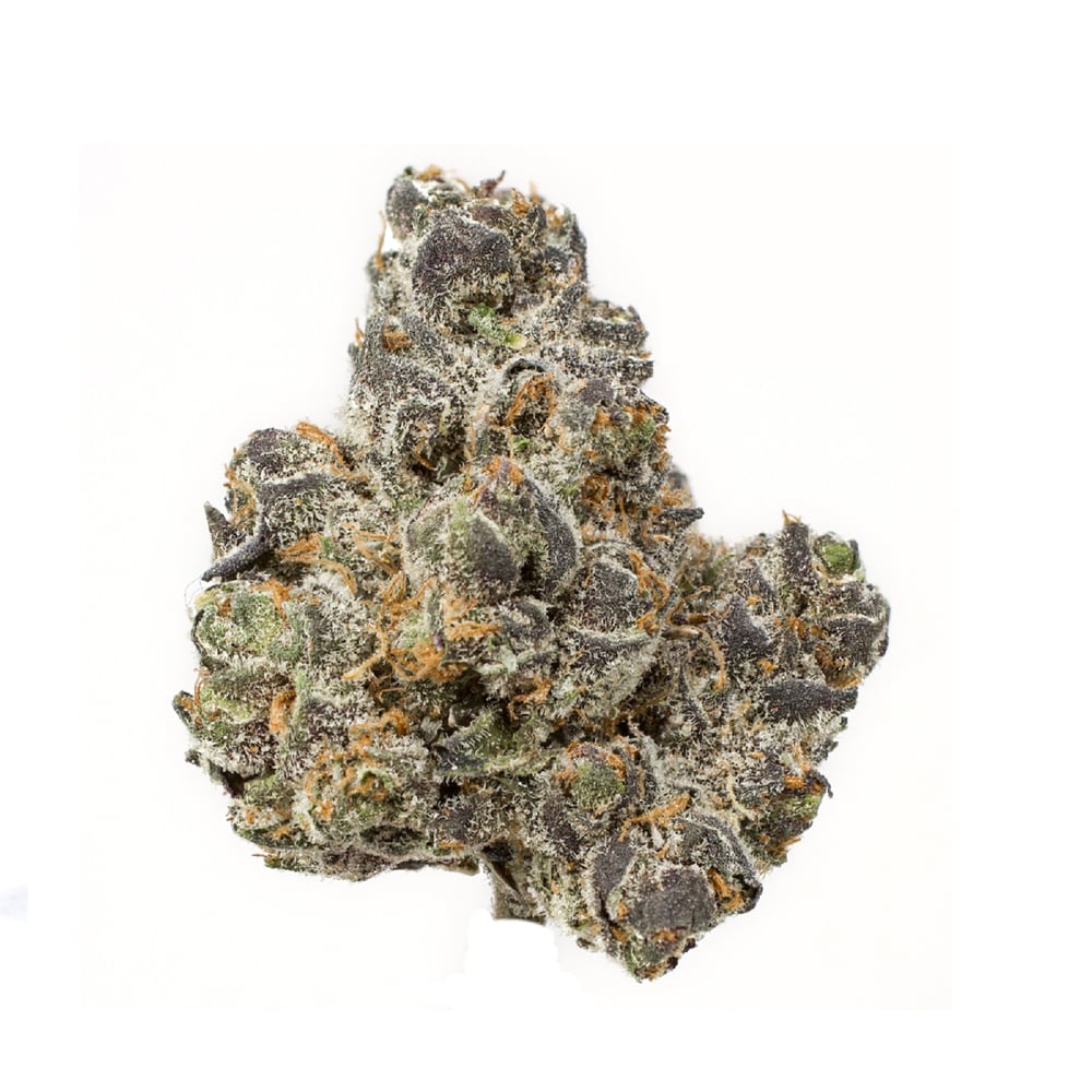 Apple Fritter by Urbn Leaf