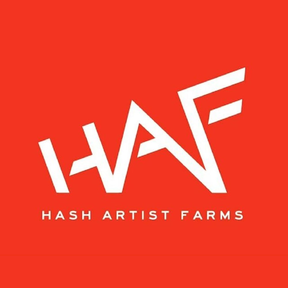 Vanilla Frosting by Hash Artist Farms