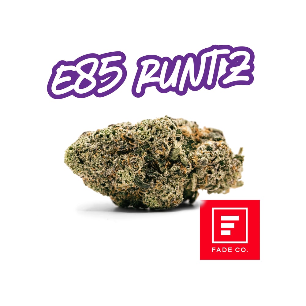 E85 Candi by Fade Co.