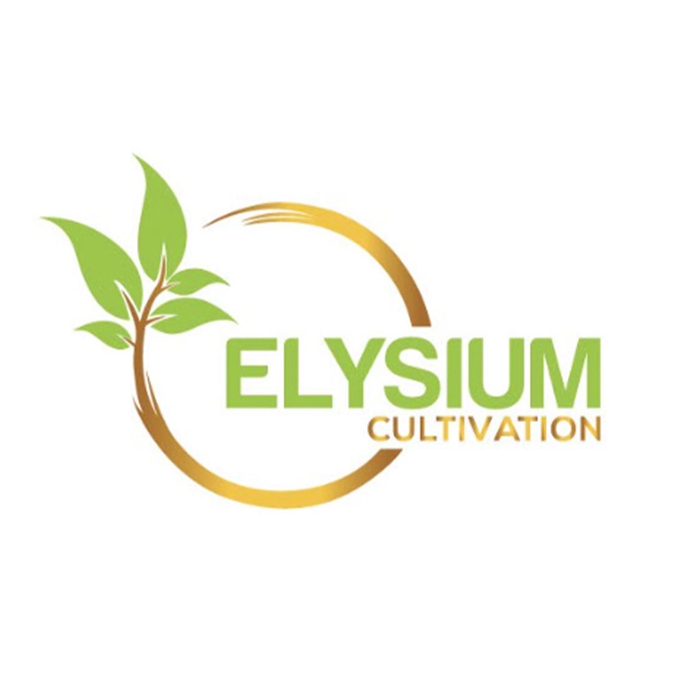 AK-47 by Elysium Cultivation