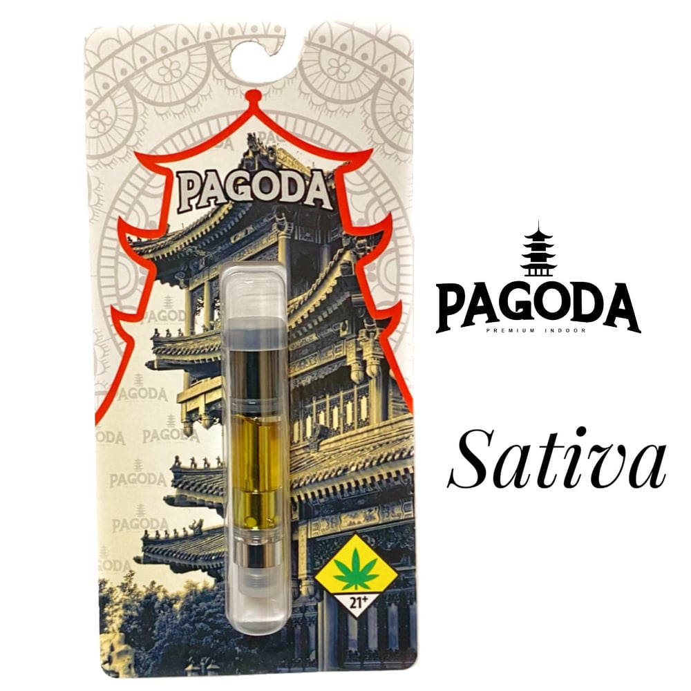 Key Lime Pie by Pagoda