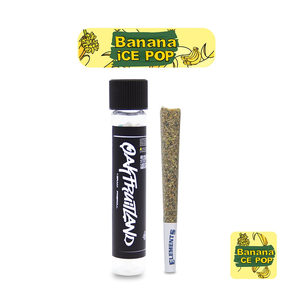 Banana Ice Pop [1g] by Oakfruitland