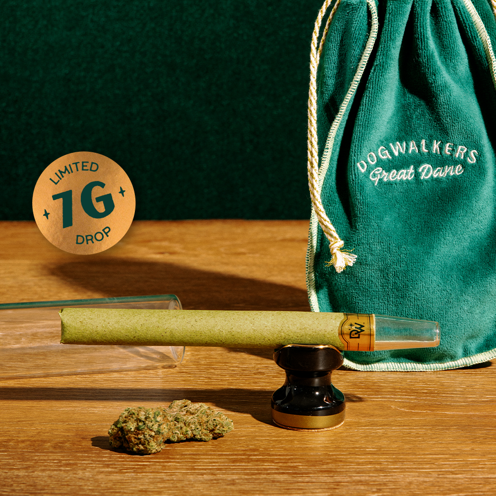 Afternoon Delight  [7g] by Dogwalkers