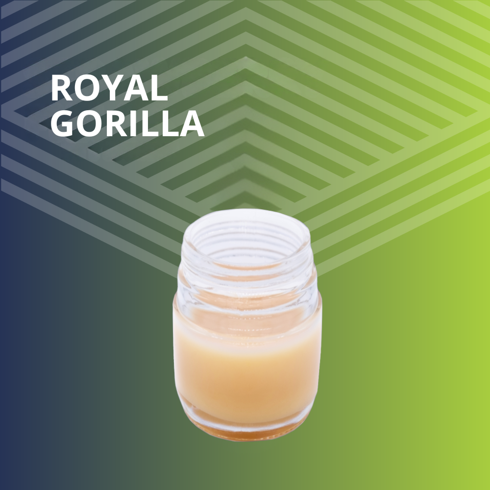 1:1 Lotion - Royal Gorilla [50g] by Pure Dakota