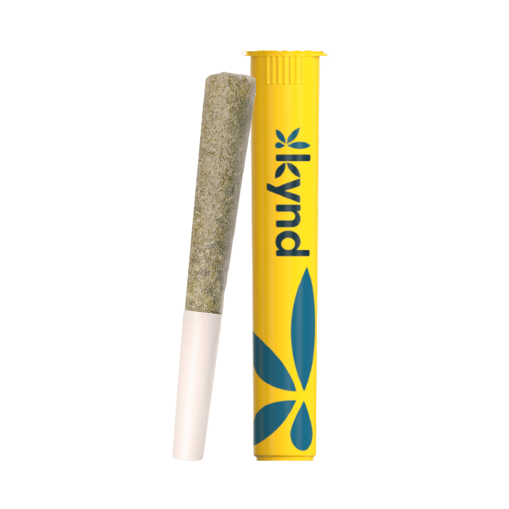 Vanilla Cheesecake [1g] by KYND