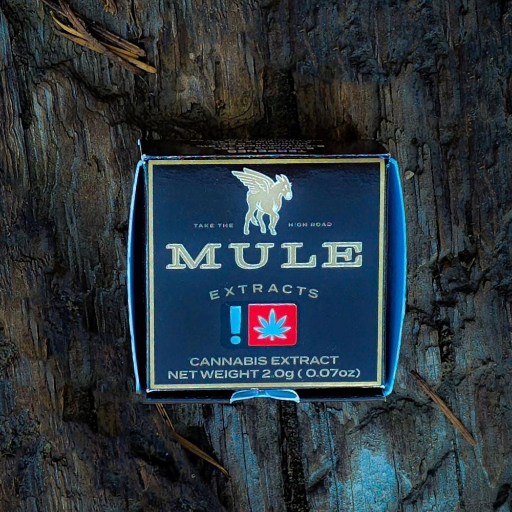 Apple Cough by Mule Extracts