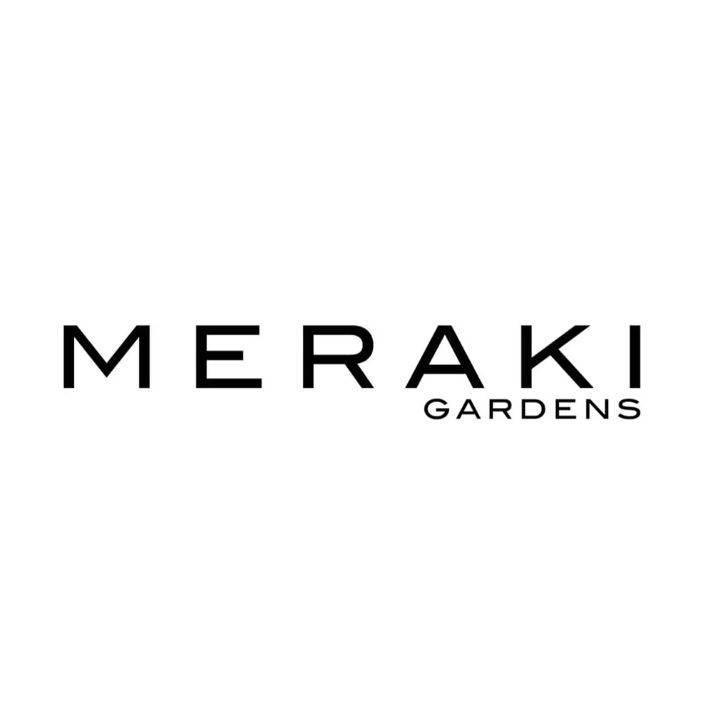 1:1 Lemon Flufluns by Meraki Gardens