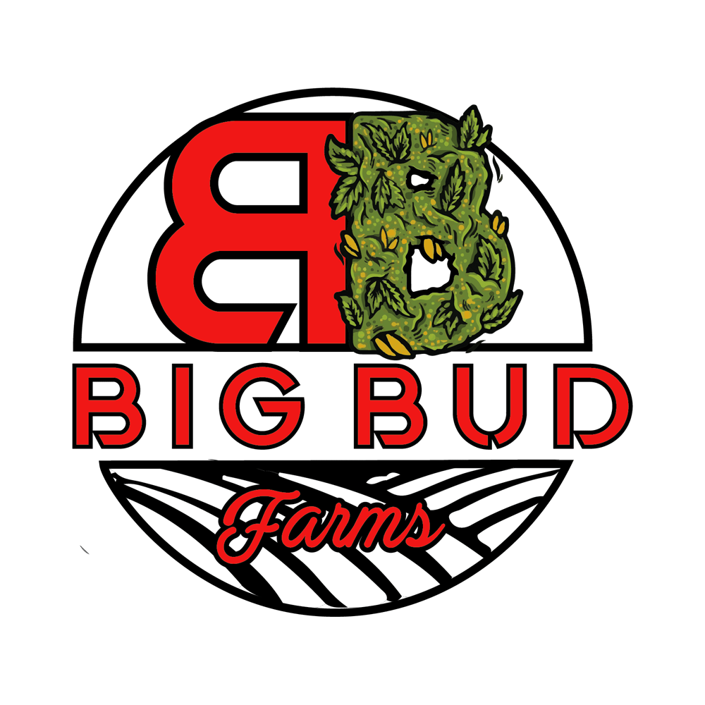Platinum OG by Big Bud Farms