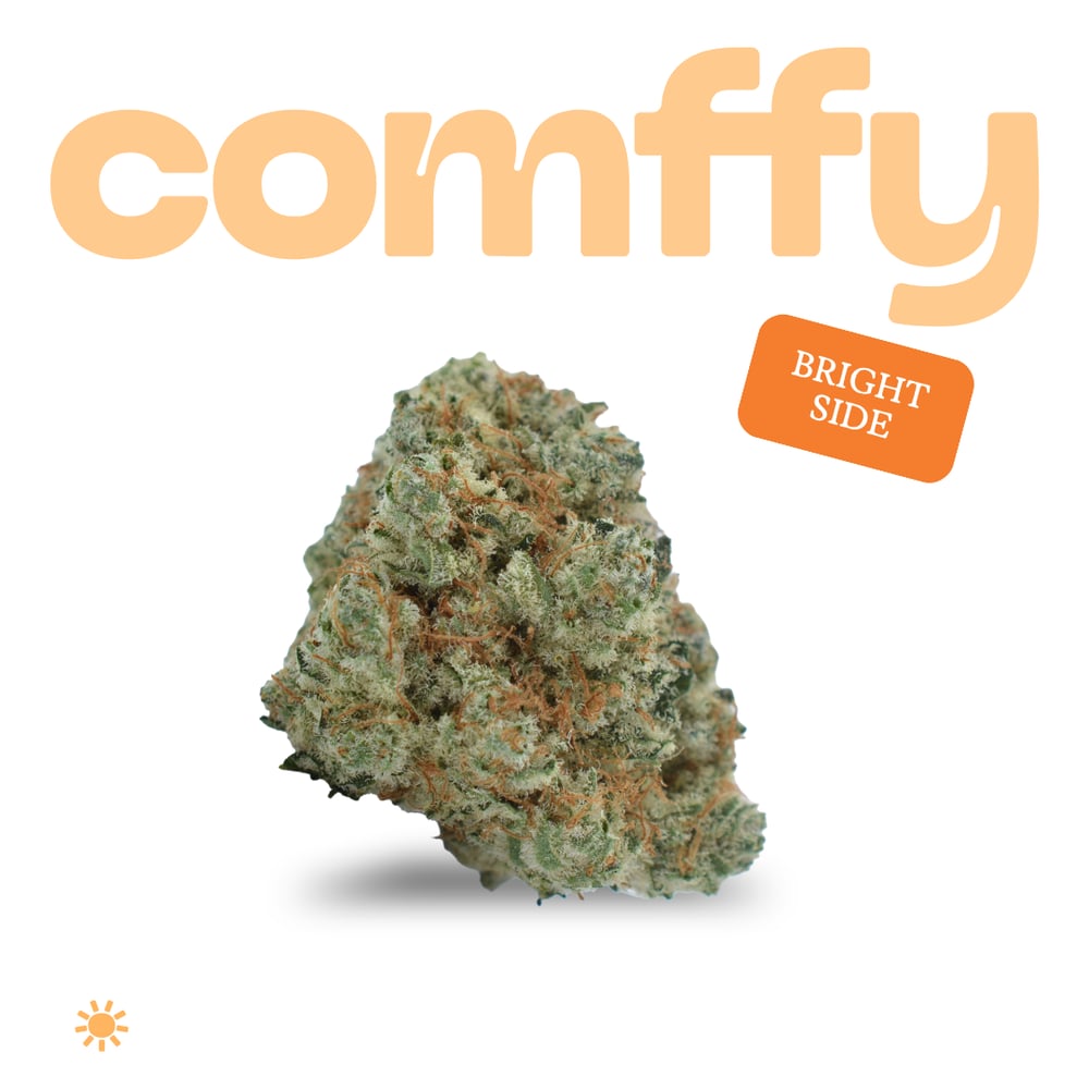 Comffy|Flower 3.5g|Bright Side 00276 by comffy