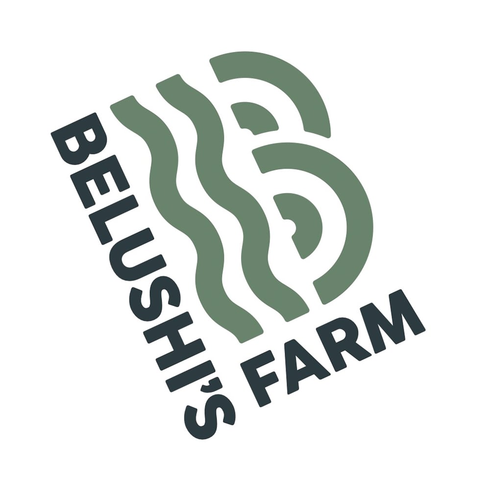 Cadillac Rainbows by Belushi's Farm