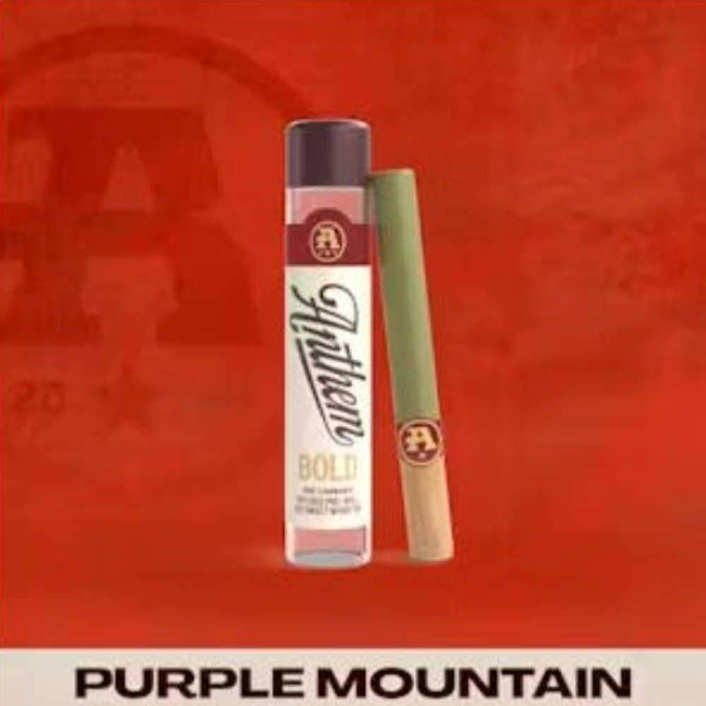 Bold Infused Purple Mountain [1g] by Anthem