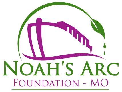 Nightime (100mg) by Noah's Arc Foundation