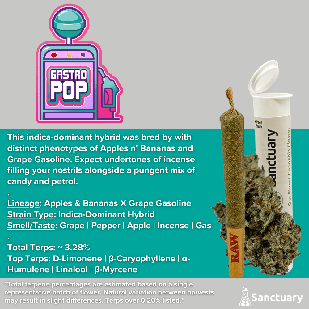 Pre-Roll - Gastro Pop [1g] by Sanctuary