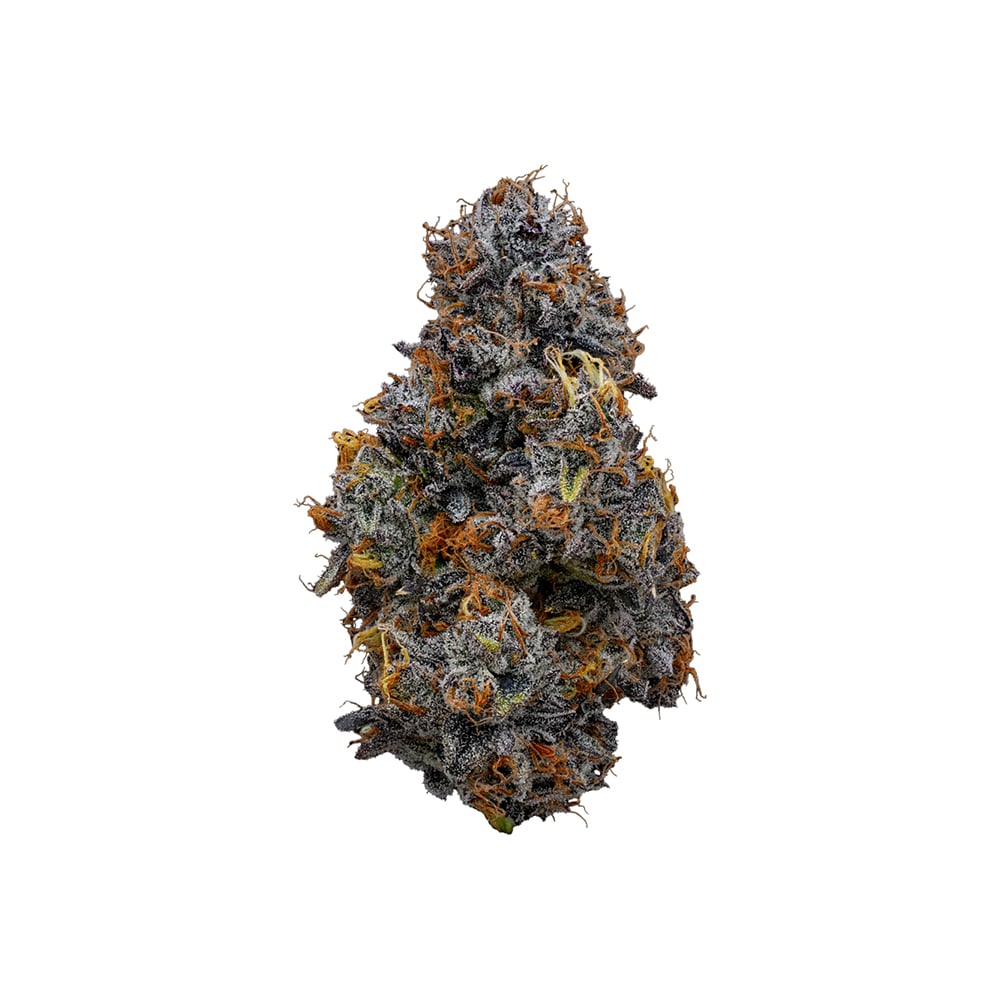 GMO x OZ Kush Bx2 by Good Day Farm