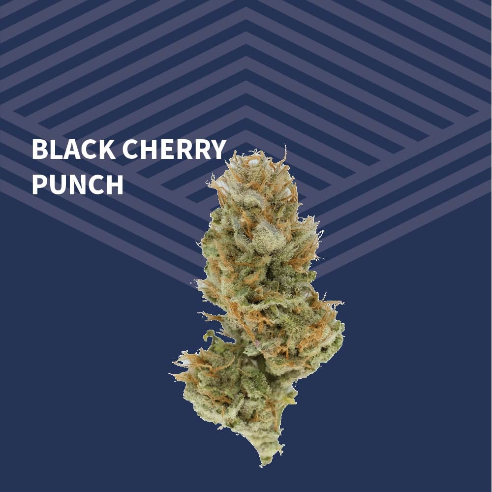 Value Black Cherry Punch by Pure Dakota