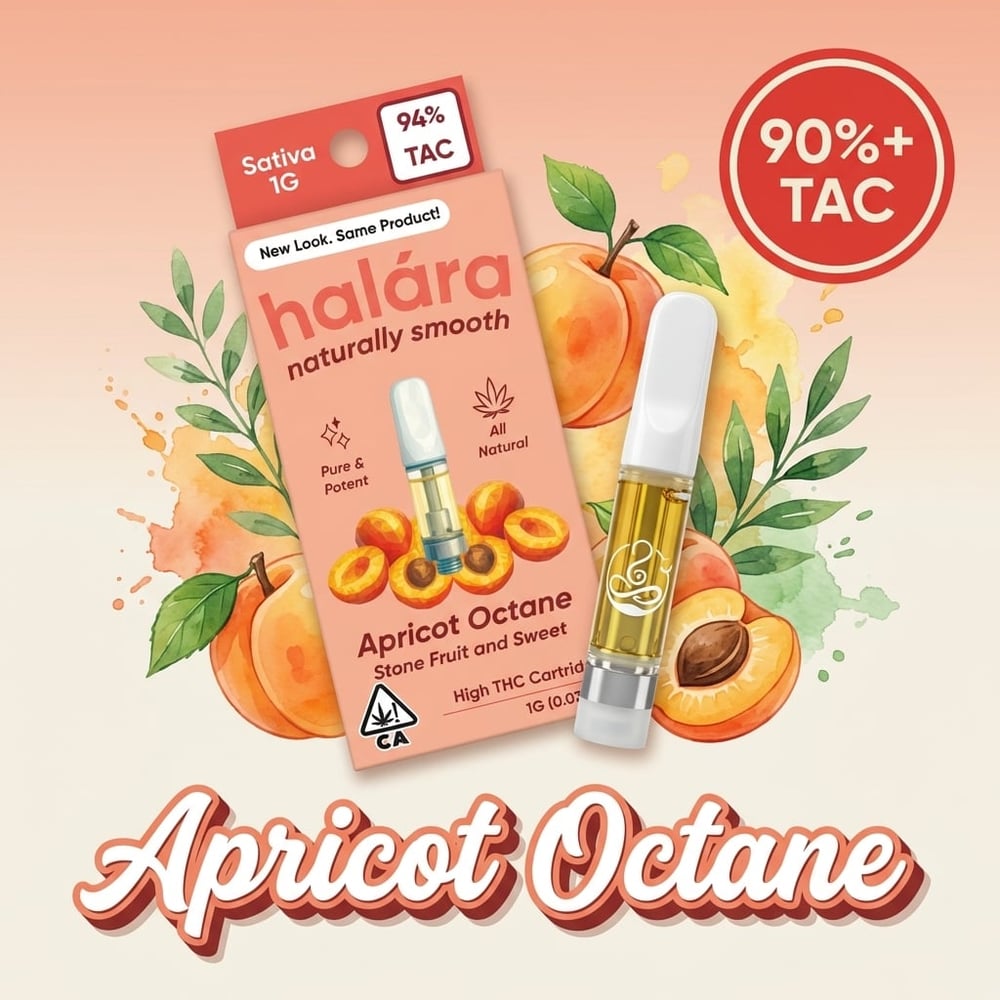 Apricot Octane by Halara
