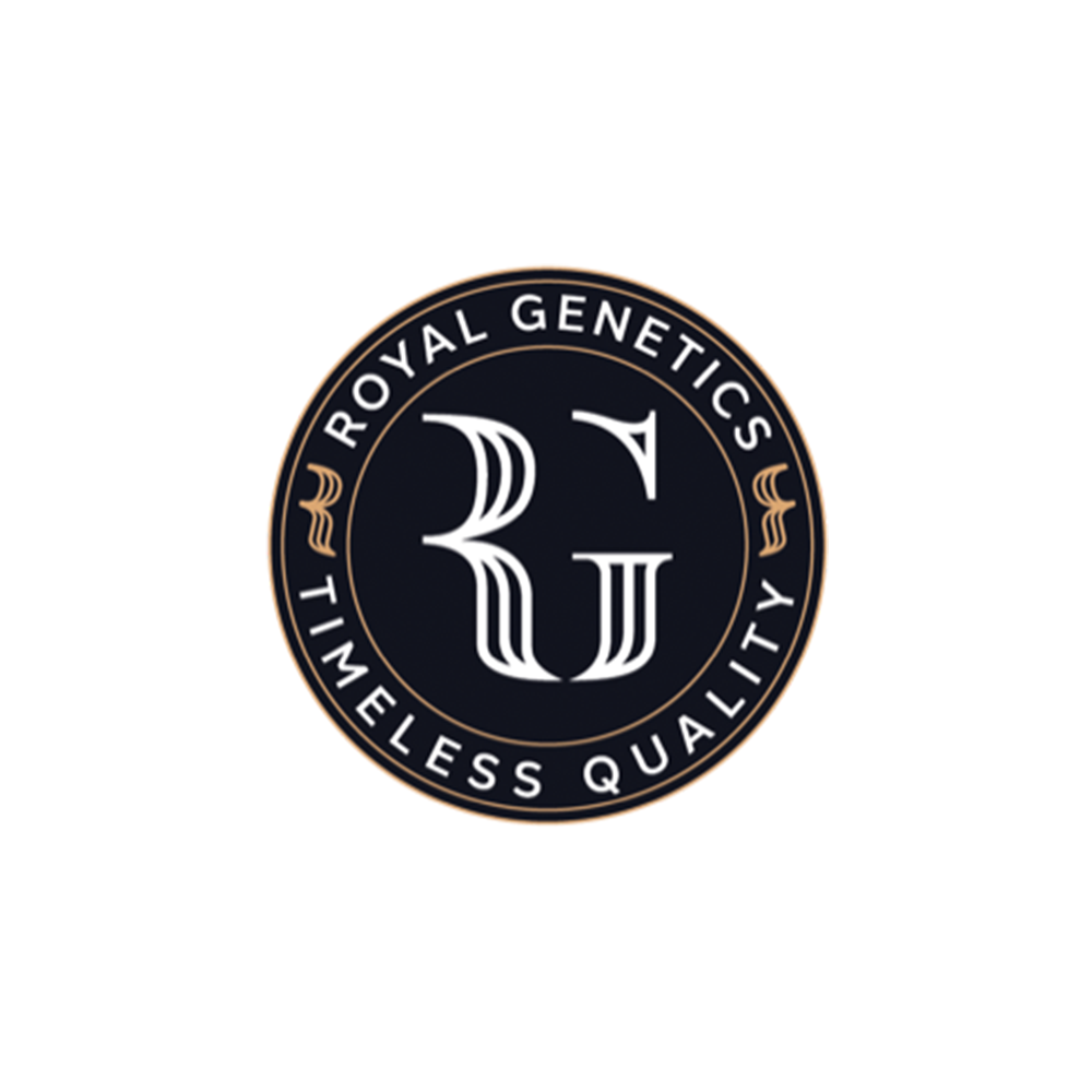 Superboof by Royal Genetics