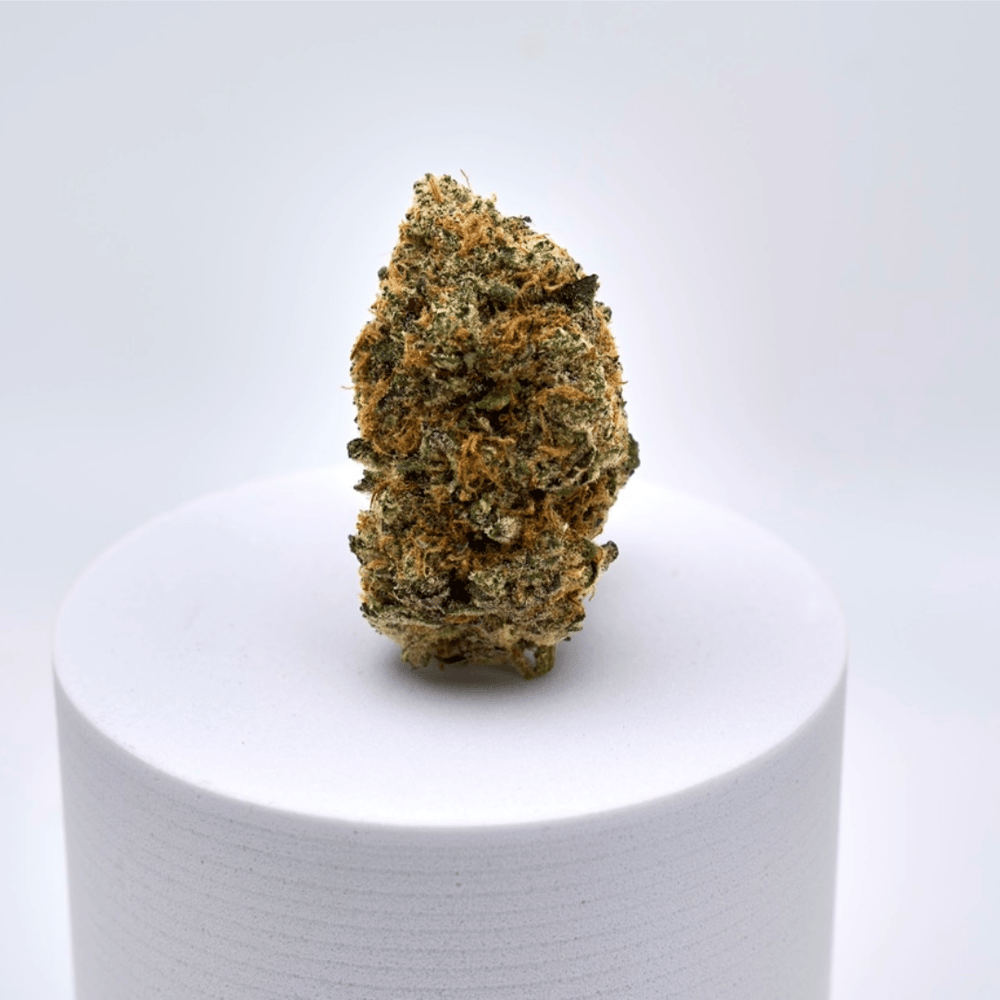 Apes in Space #3 by Bonsai Buds
