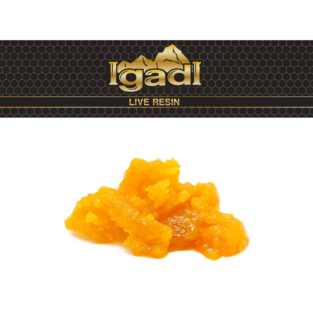 Jack Fruit by IgadI