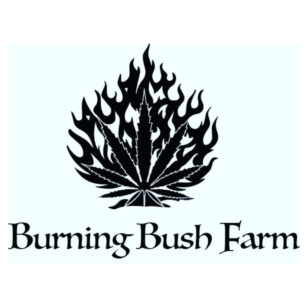 Natty Bumpo [.5g] by Burning Bush Farm