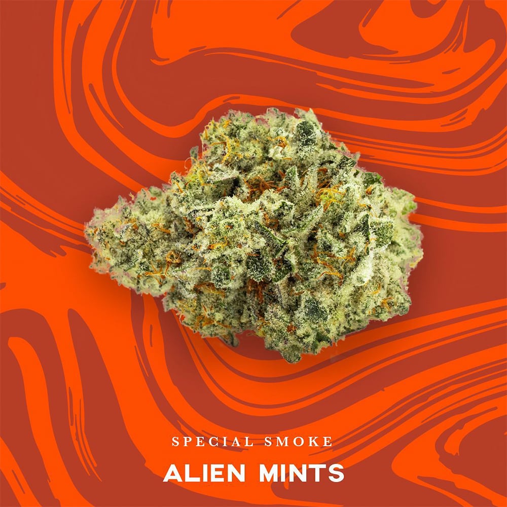 Alien Mints by Vivid