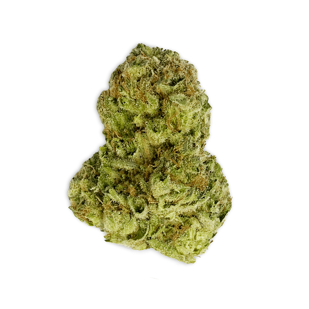 Animal Face #4 (AF) (Small Bud) by Vireo