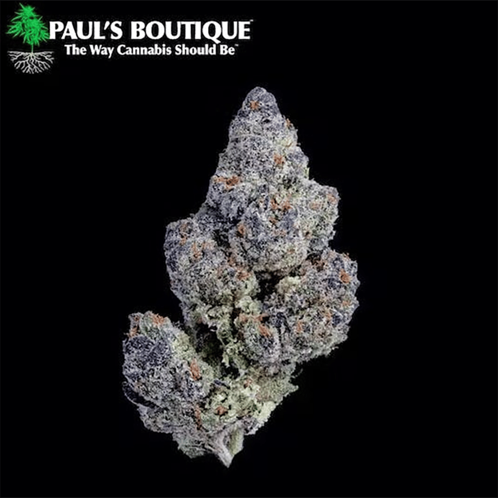 Kandyland [3g] by Paul's Boutique